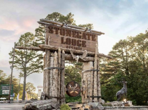Stonegate Lodge Sleeps 4 Fast WiFi Firepits TV Salt Water Pool Room #204